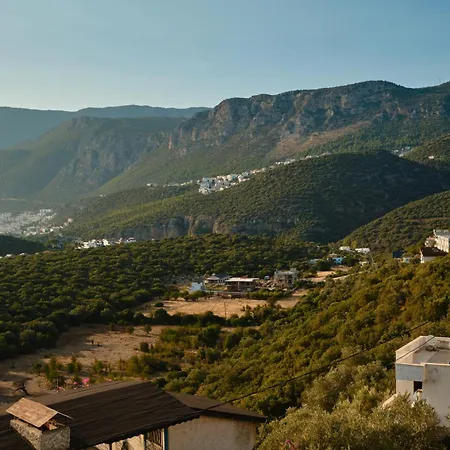 Villa Kaktus 2-2